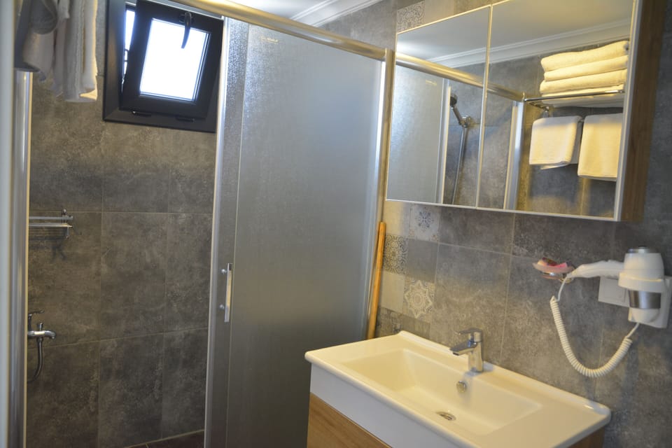 Deluxe Double Room | Bathroom | Shower, hair dryer, towels, toilet paper