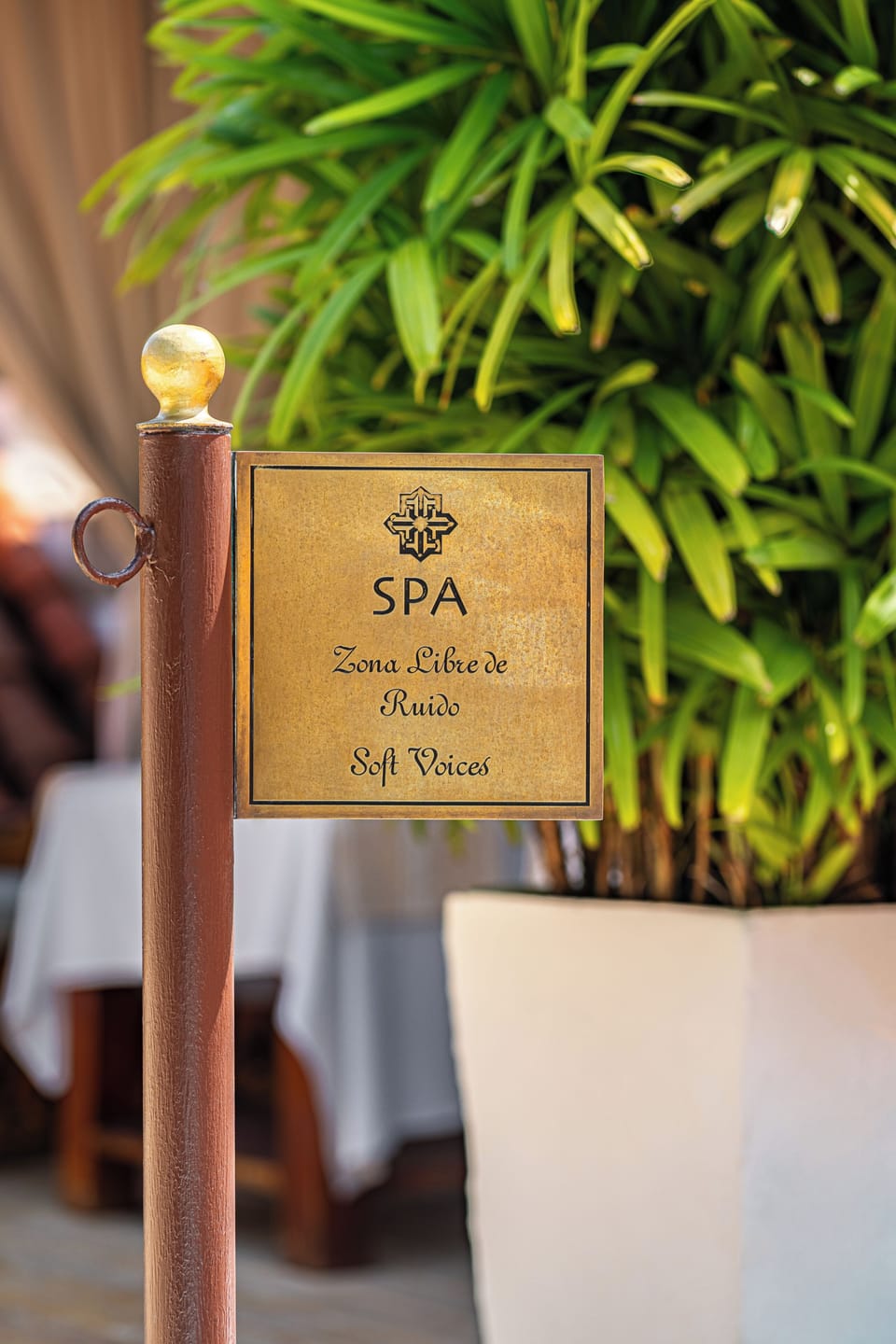 Body treatments, facials, manicures and pedicures, massages