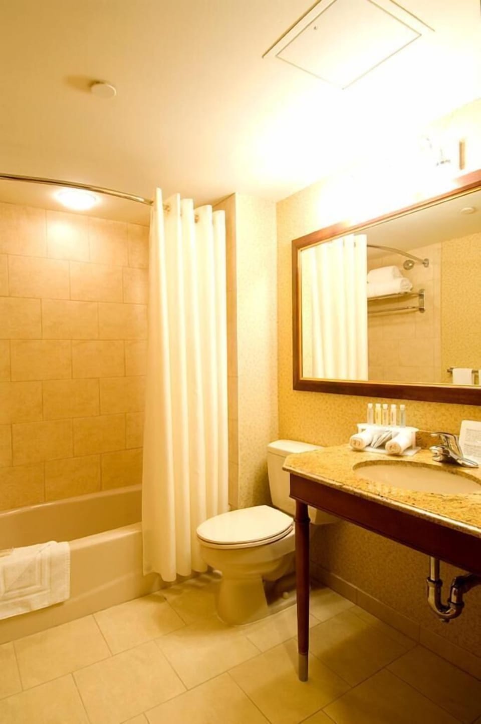 Junior Suite Accessible | Bathroom | Combined shower/tub, free toiletries, hair dryer, towels