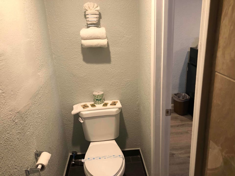 Deluxe Room, 1 Queen Bed  | Bathroom | Shower, free toiletries, towels