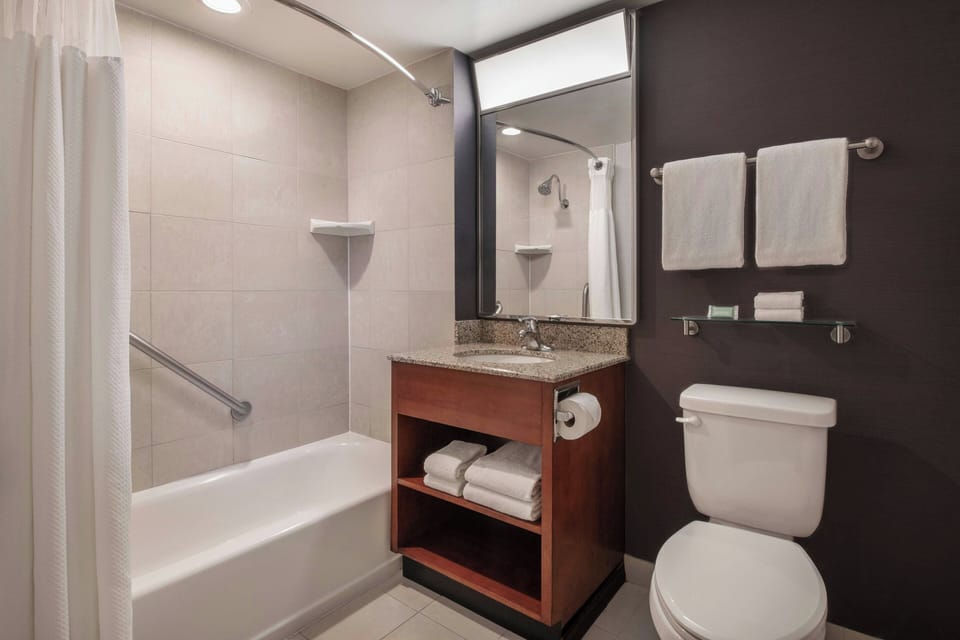 Combined shower/tub, free toiletries, hair dryer, towels