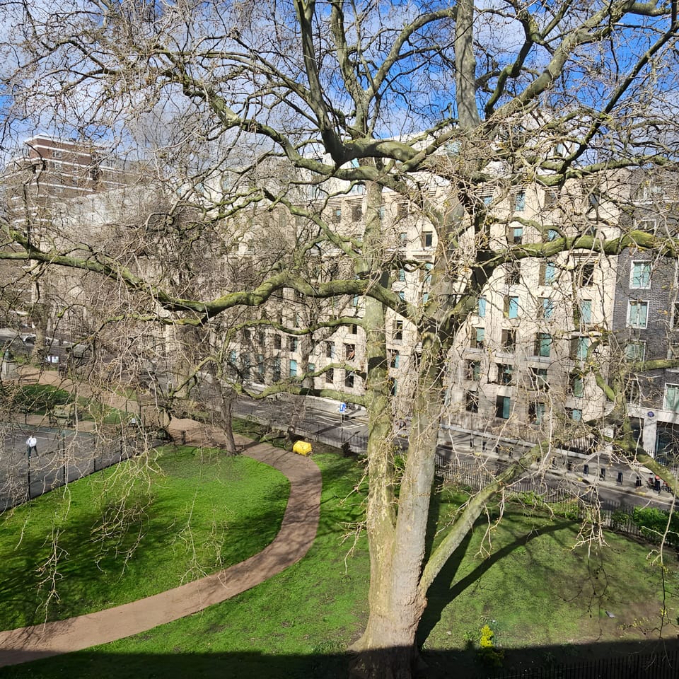 Triple Room top Floor with 3 Beds | Garden view