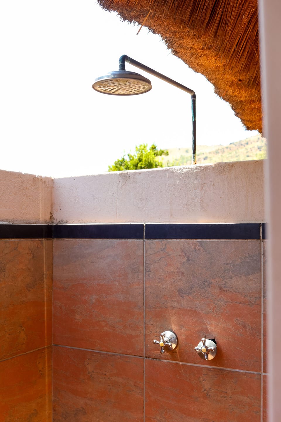 Deluxe Room | Bathroom shower
