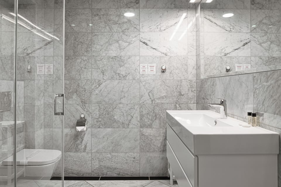 Deluxe Double Room | Bathroom | Shower, free toiletries, hair dryer, towels