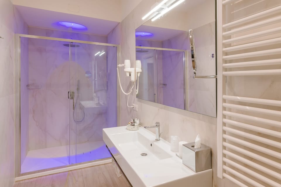 Deluxe Suite | Bathroom | Shower, free toiletries, hair dryer, slippers