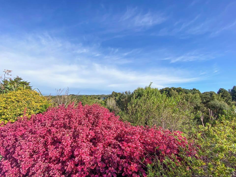 Family Cottage, Non Smoking | Garden view
