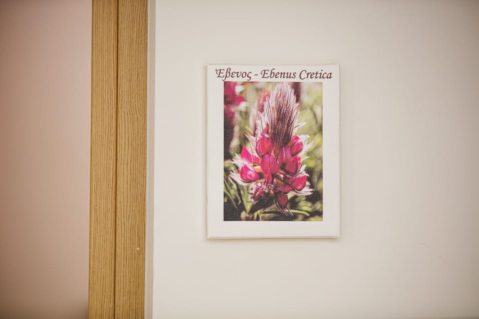 Superior Room - Evenos | Living area | LCD TV