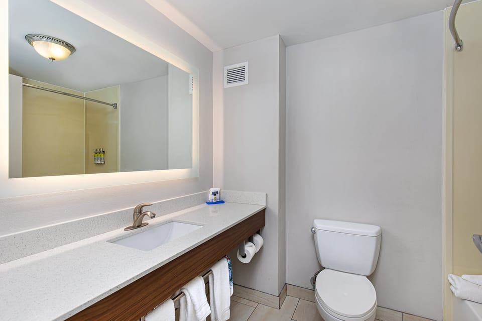 Combined shower/tub, free toiletries, hair dryer, towels
