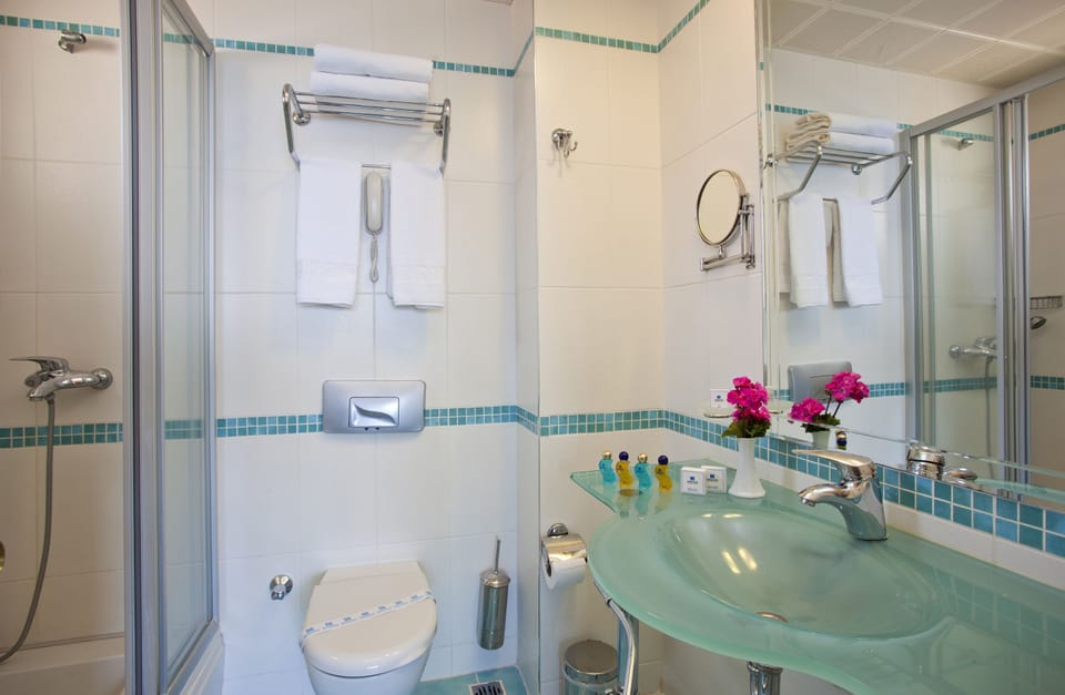 Shower, free toiletries, hair dryer, slippers