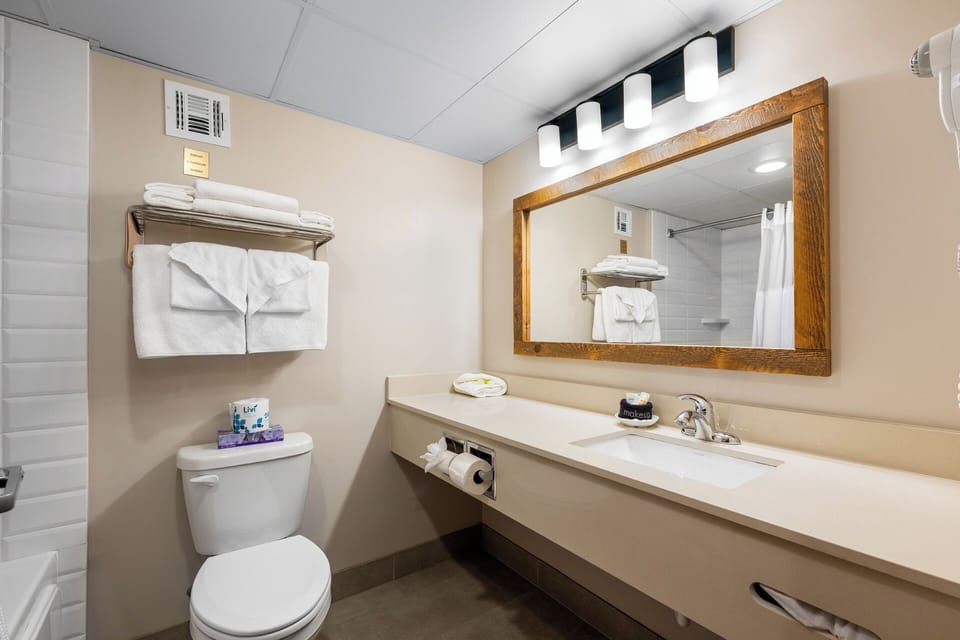 Free toiletries, hair dryer, towels