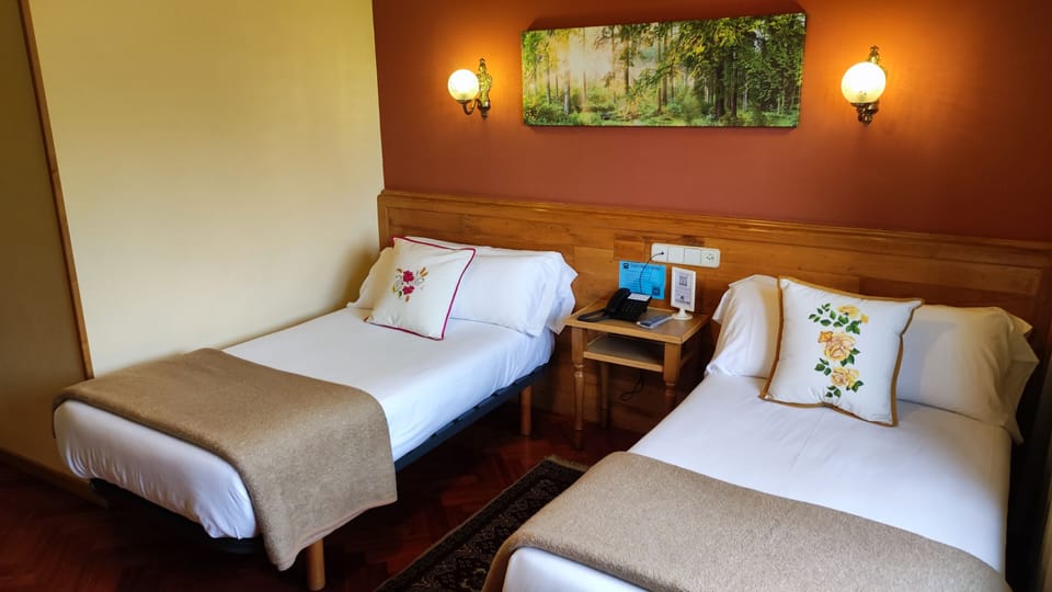 Twin Room | In-room safe, desk, soundproofing, iron/ironing board (on request)