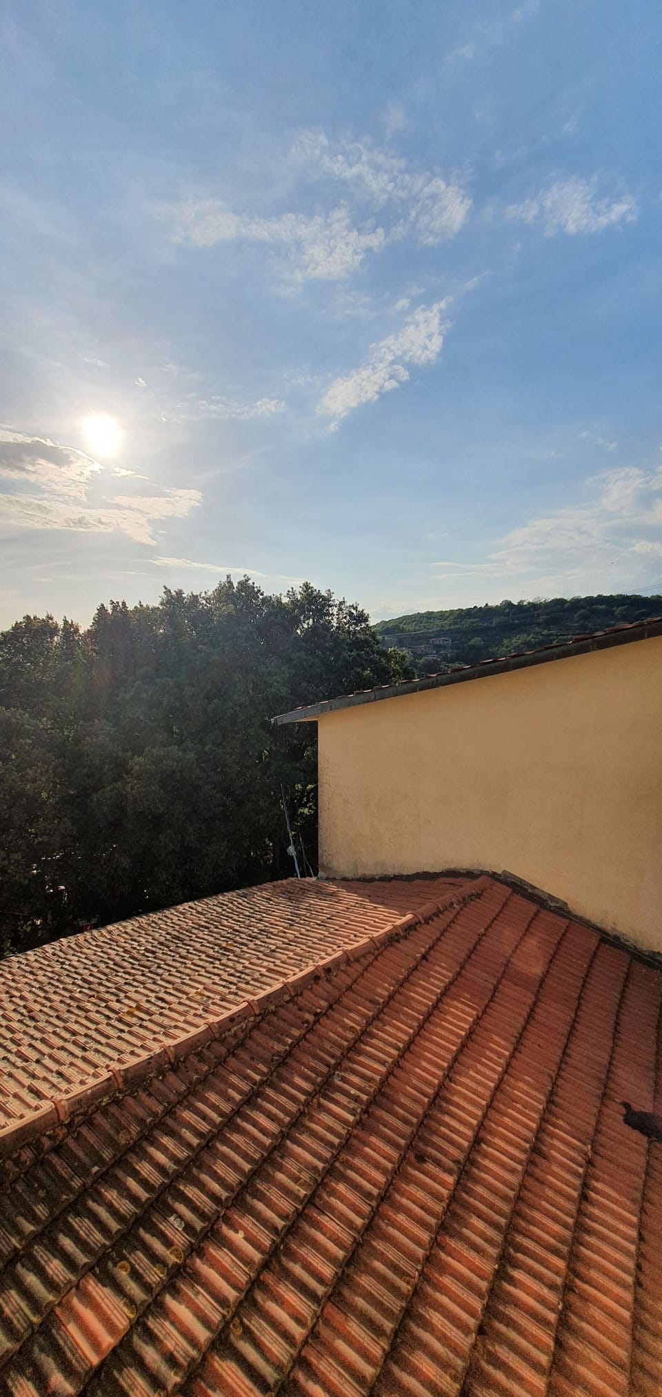 Standard Double or Twin Room | View from room