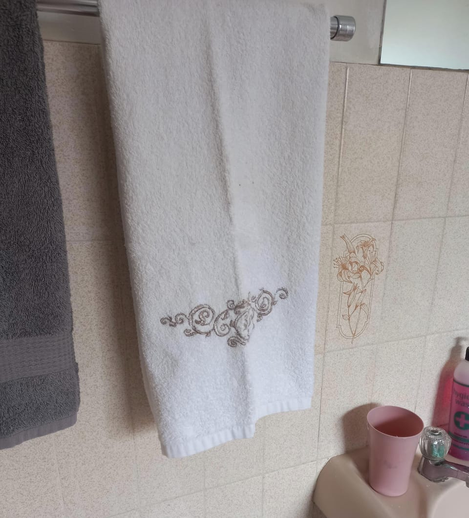 Shower, rainfall showerhead, free toiletries, hair dryer