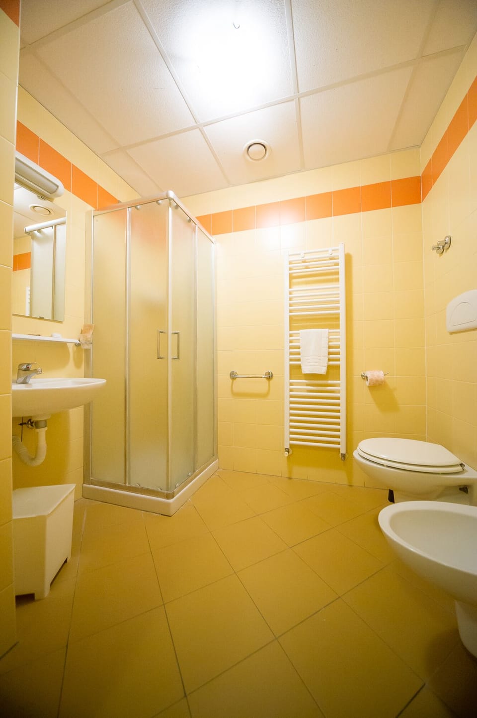 Shower, free toiletries, hair dryer, bidet