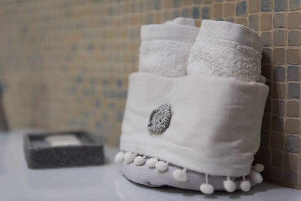 Deluxe Room | Bathroom amenities | Shower, free toiletries, hair dryer, bidet