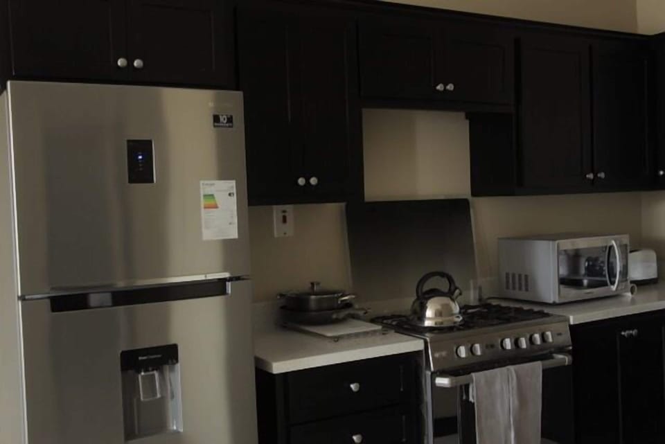 City Apartment, 2 Bedrooms, Refrigerator & Microwave, City View | Private kitchen | Full-size fridge, microwave, oven, stovetop