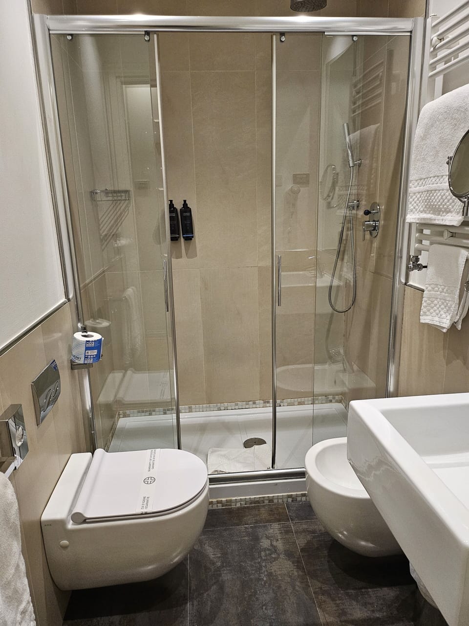 Combined shower/tub, hair dryer, bidet, towels