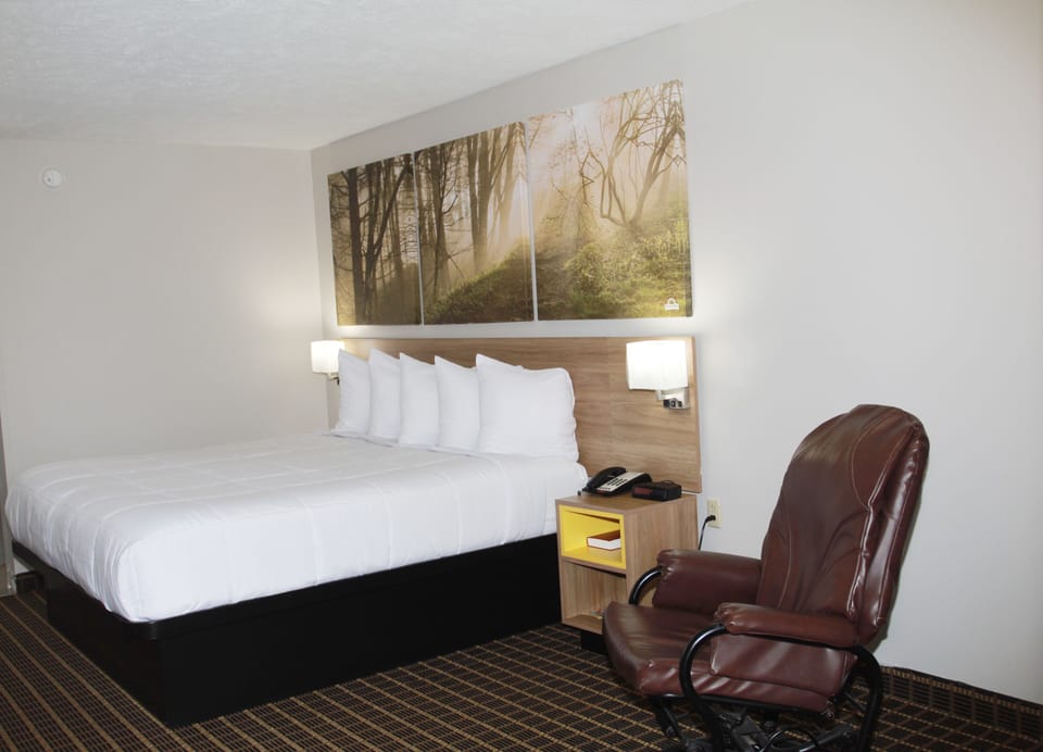 Standard Room, 1 King Bed, Non Smoking | Desk, iron/ironing board, cribs/infant beds, free WiFi