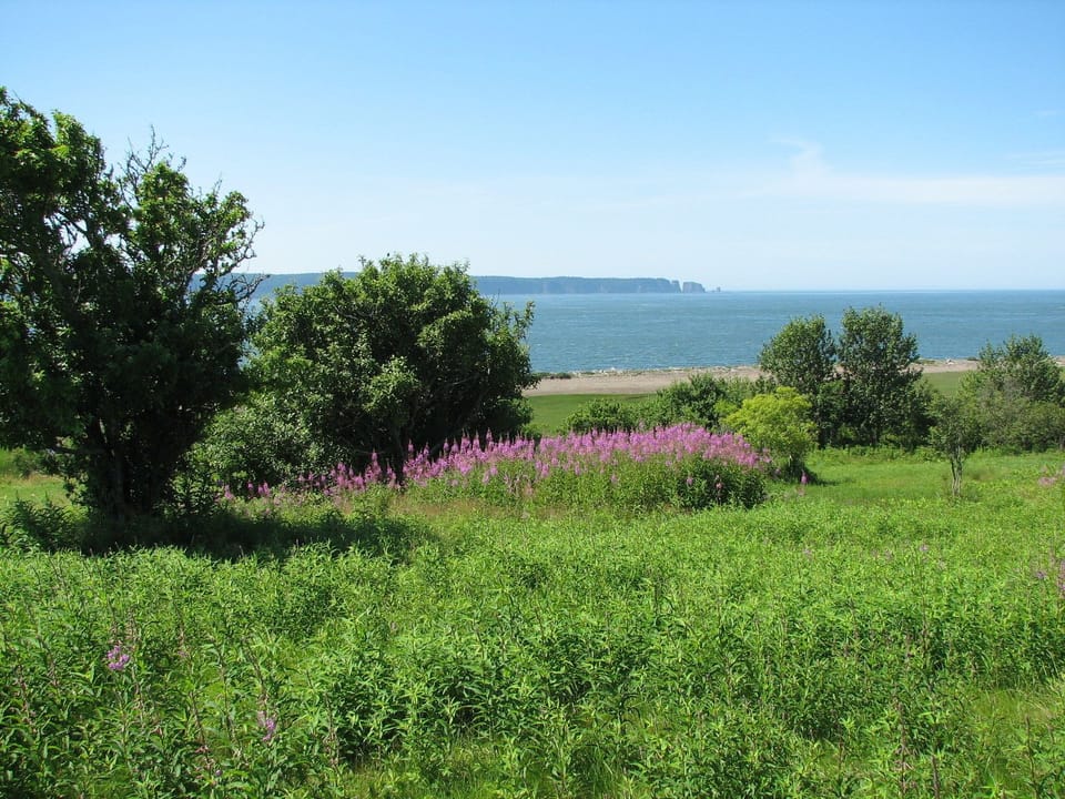 View from property