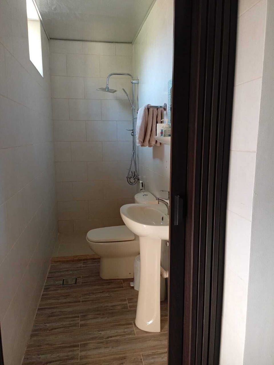 Shower, free toiletries, hair dryer (on request), bidet