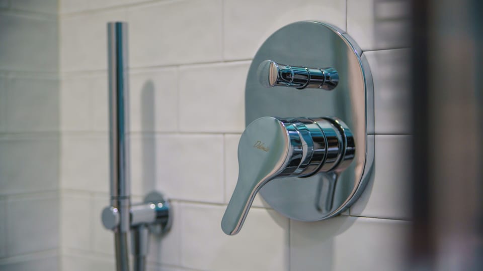 Shower, free toiletries, hair dryer, bidet