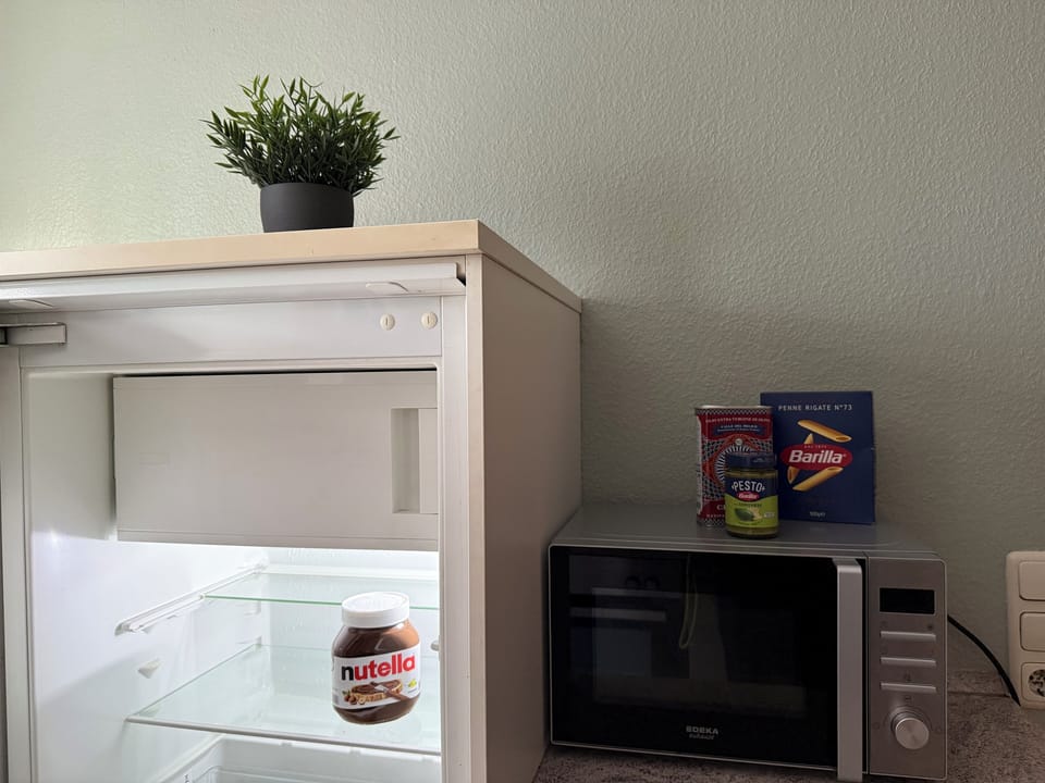 Basic House | Private kitchen | Fridge, oven, dishwasher, cookware/dishes/utensils