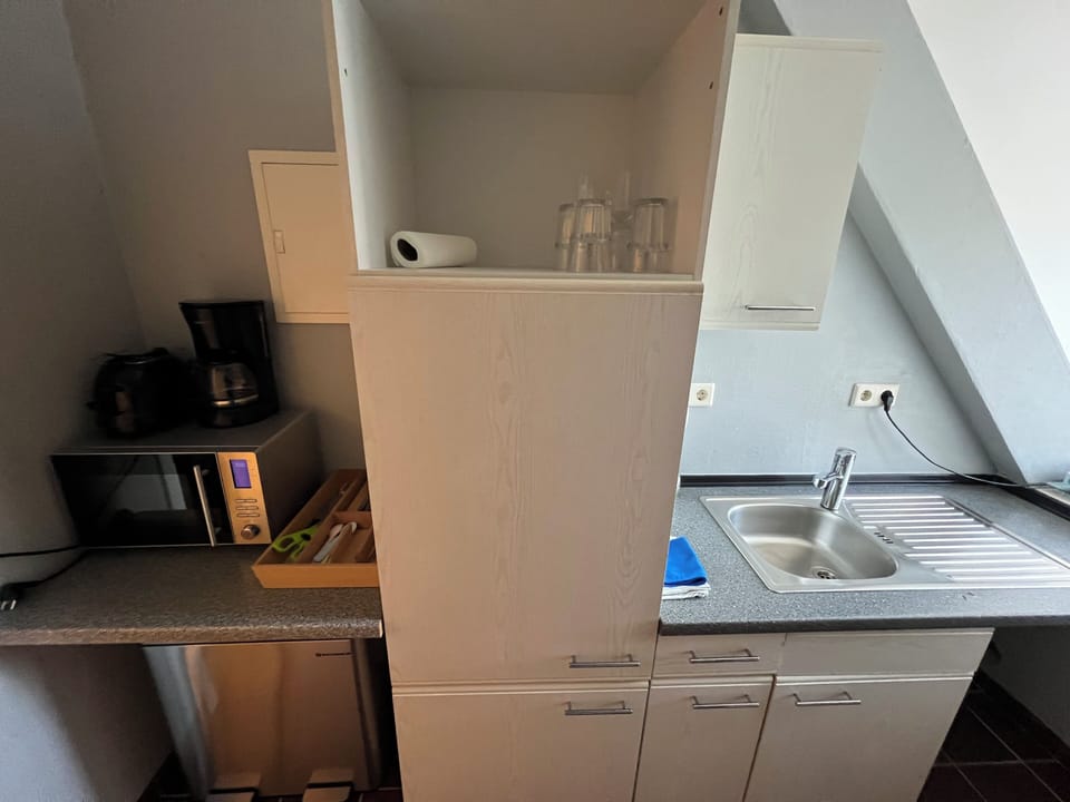 Classic Studio Suite | Private kitchen | Fridge, oven, dishwasher, cookware/dishes/utensils