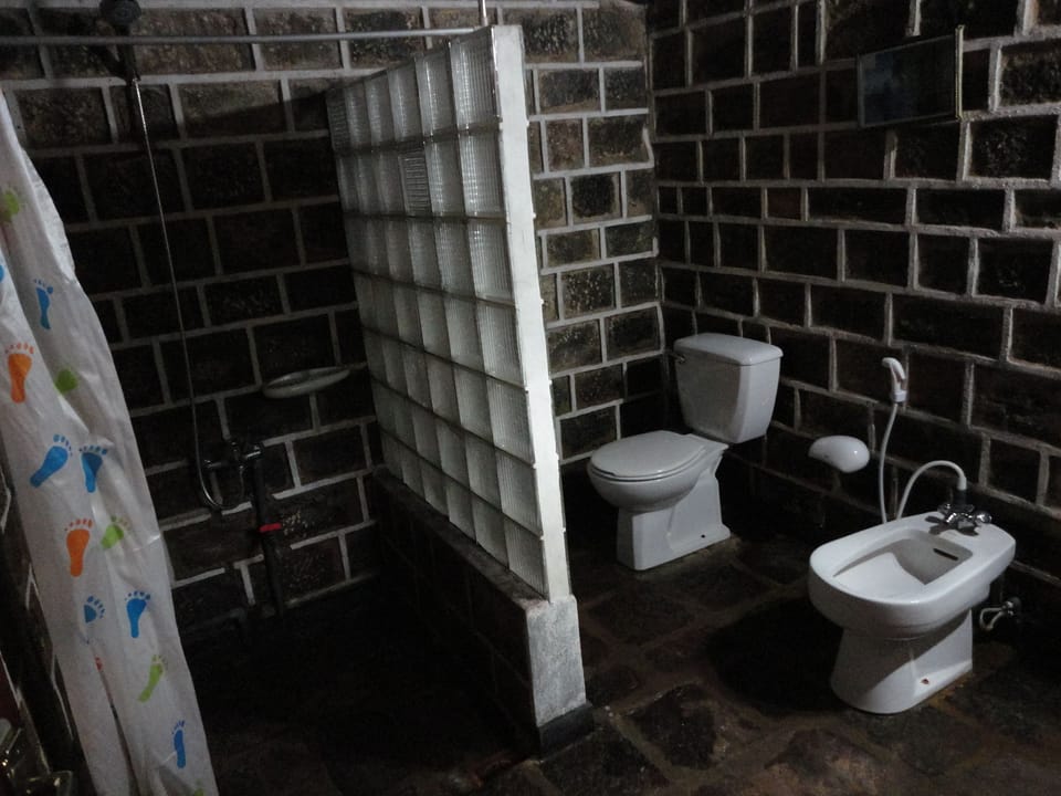Family Room, 1 Bedroom, Balcony, Lake View | Bathroom | Shower, free toiletries, towels