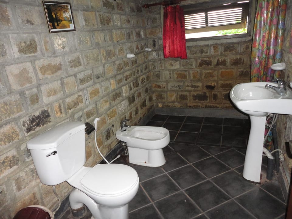 Shower, free toiletries, towels