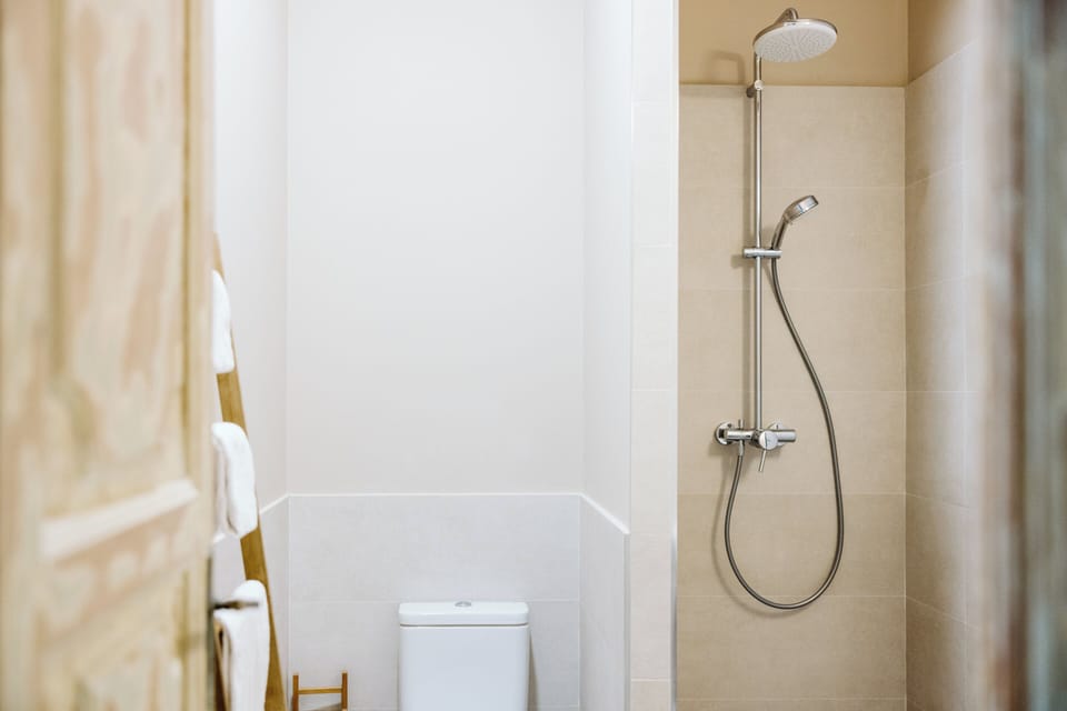 Shower, free toiletries, hair dryer, towels