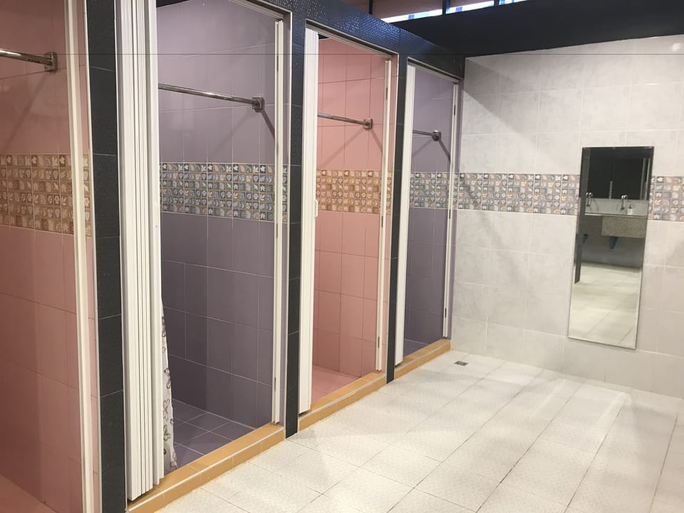 Mixed Dormitory | Bathroom | Shower, free toiletries, towels