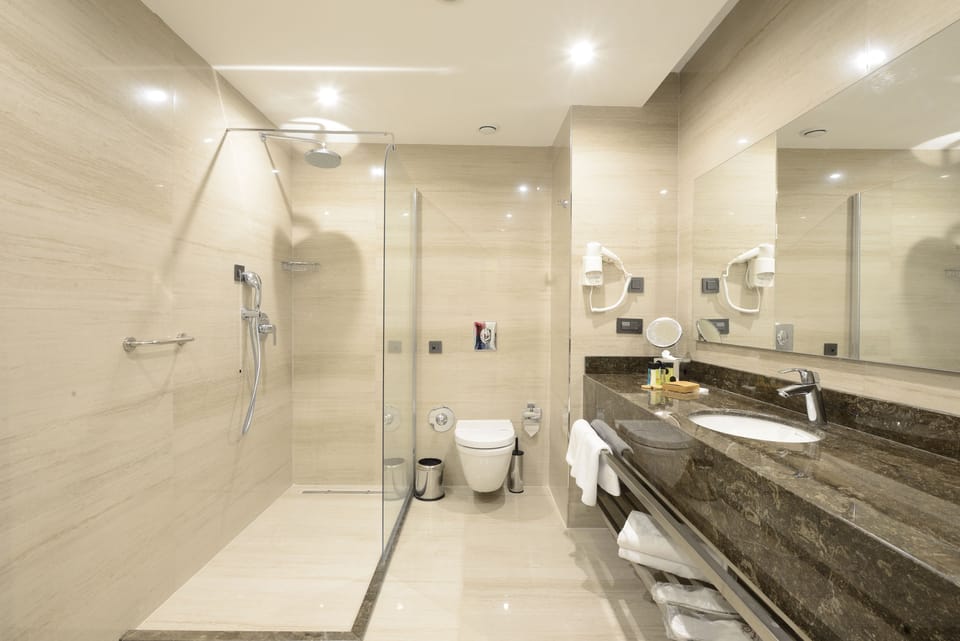 Shower, free toiletries, hair dryer, bathrobes