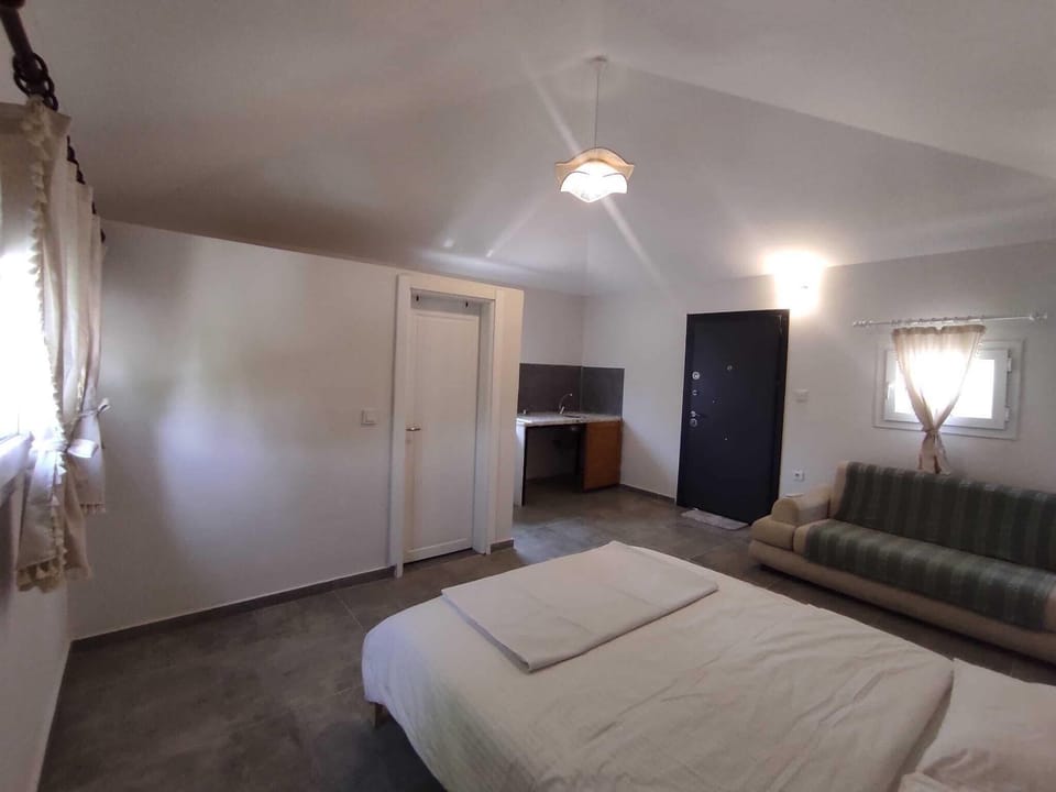 Economy Studio, 1 Double Bed, Non Smoking | Private kitchen | Shared fridge, microwave