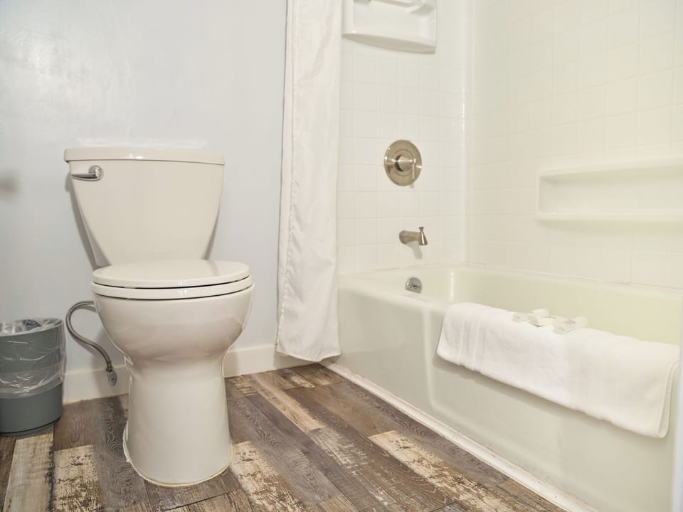Comfort Single Room | Bathroom | Towels