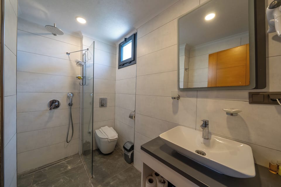 Shower, free toiletries, hair dryer, slippers