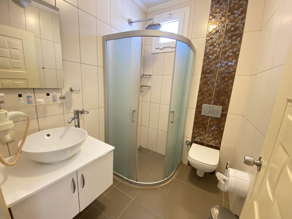 Deluxe Triple Room | Bathroom | Shower, free toiletries, hair dryer, slippers