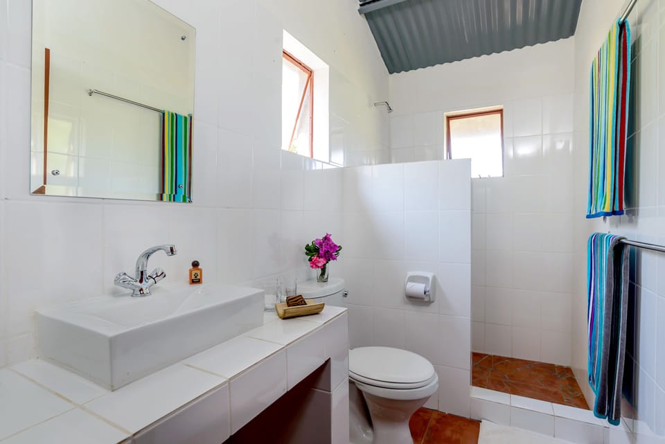 Economy Twin Room, Mountain View, Mountainside | Bathroom | Shower, free toiletries, hair dryer (on request), towels