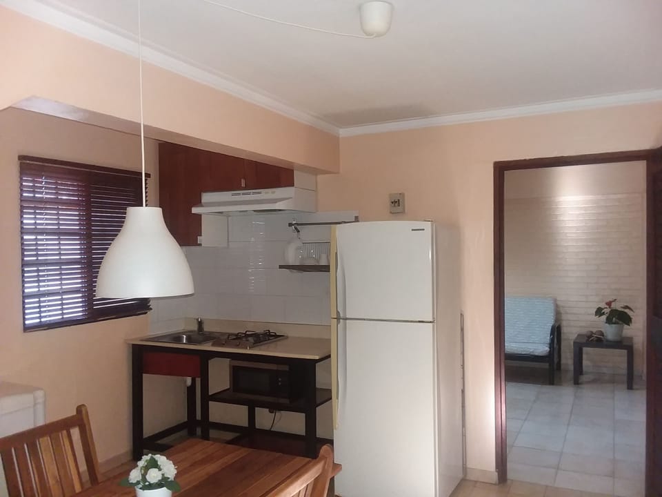 Standard Apartment, 1 Bedroom, Kitchenette, Ground Floor | Private kitchenette | Full-size fridge, microwave, stovetop, cookware/dishes/utensils