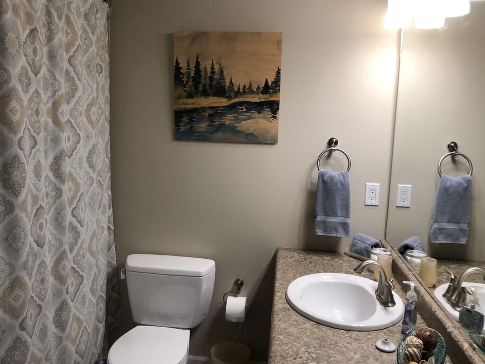 Combined shower/tub, free toiletries, hair dryer, towels