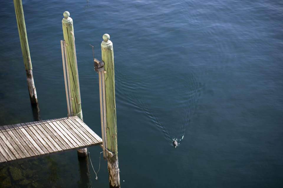 Lake view