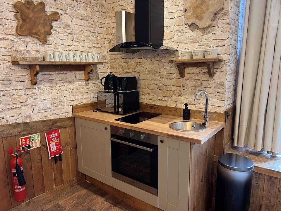 Deluxe Apartment | Private kitchen | Fridge, electric kettle