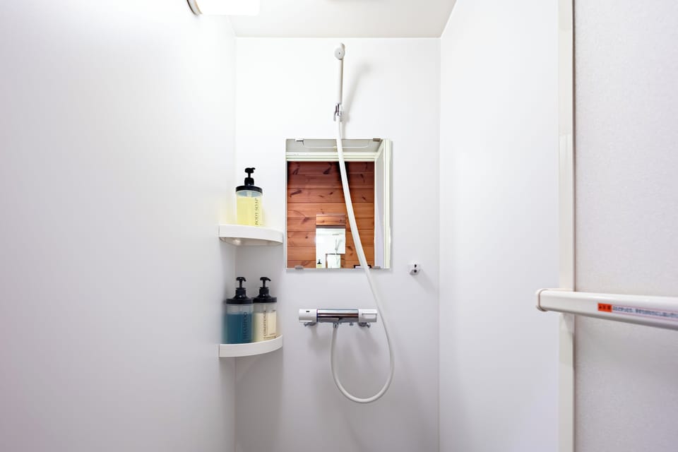 Bathroom shower