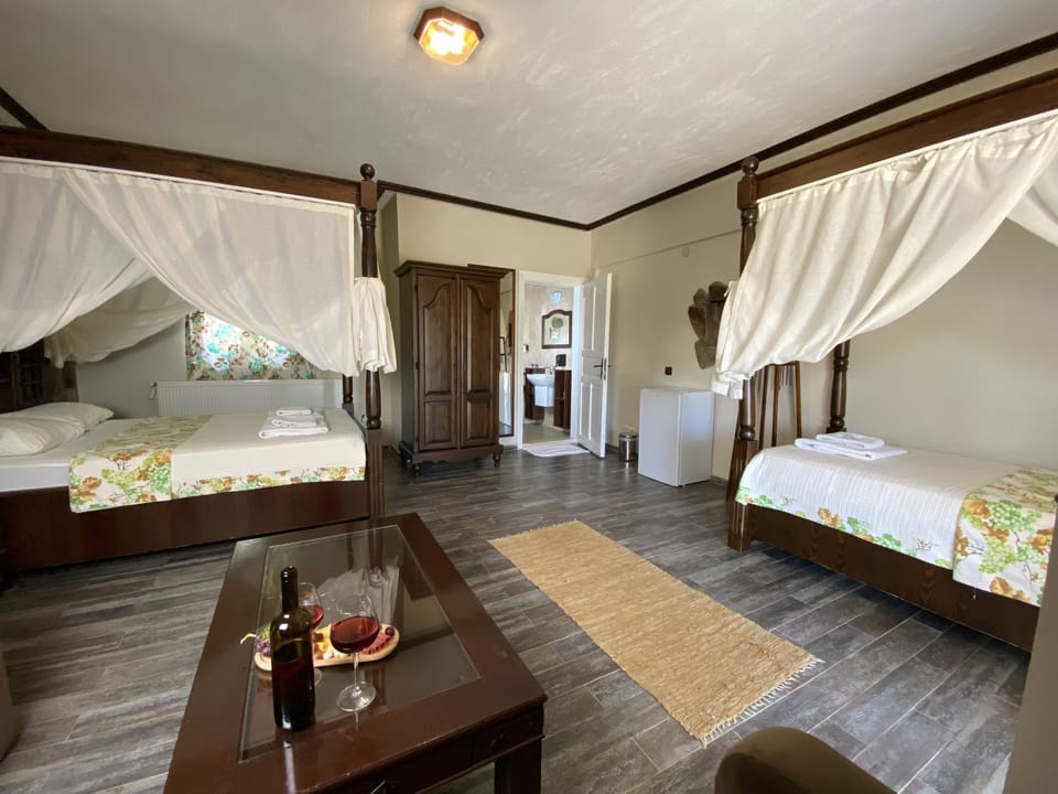 Family Suite, Vineyard View | Minibar, in-room safe, iron/ironing board, free WiFi