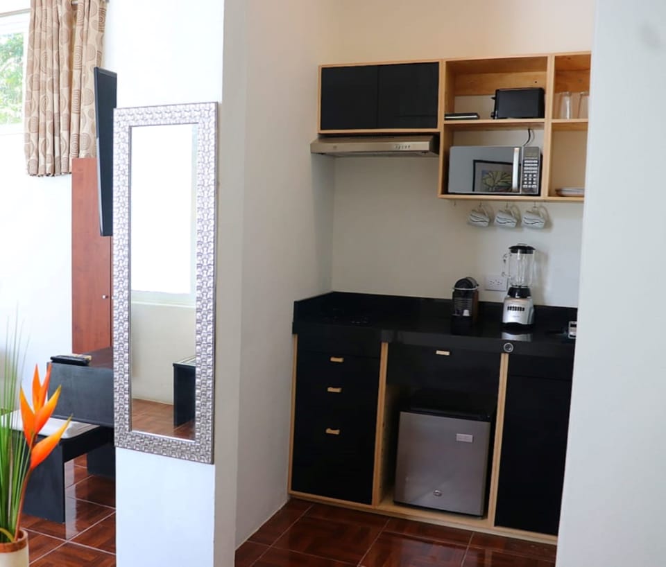 Junior Suite, Multiple Beds with Terrace and Kitchenette | 1 bedroom, premium bedding, soundproofing, iron/ironing board