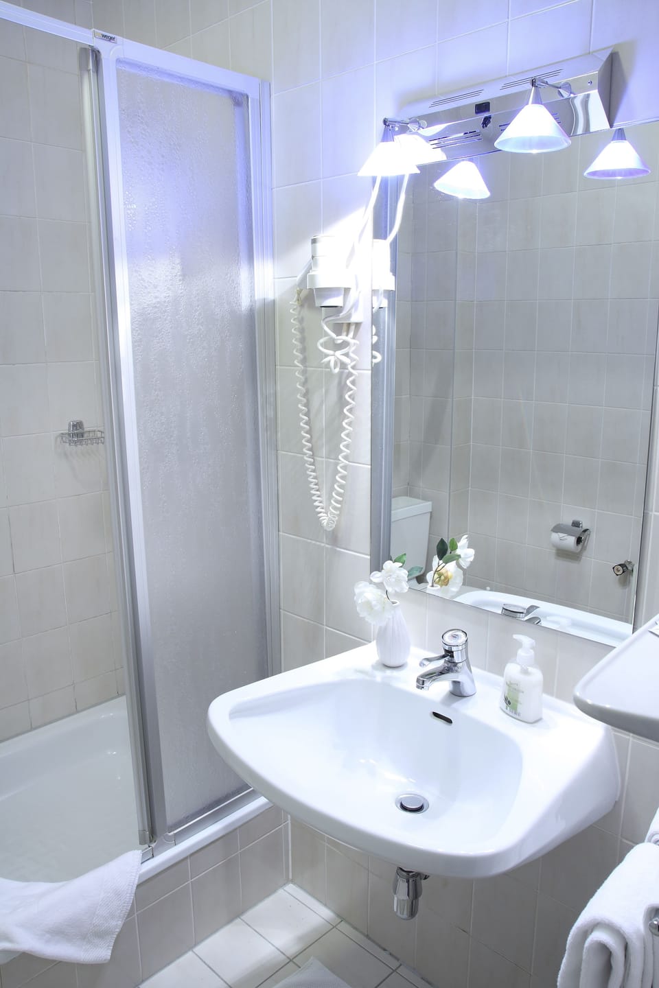Shower, free toiletries, hair dryer, towels
