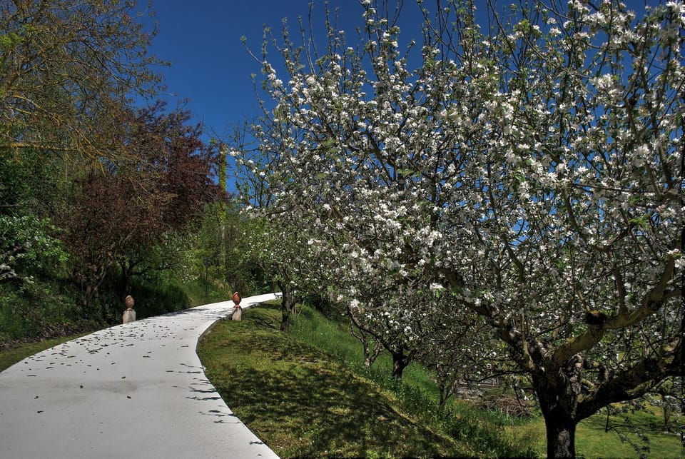 Verdmont Bed and Breakfast in Piedmont