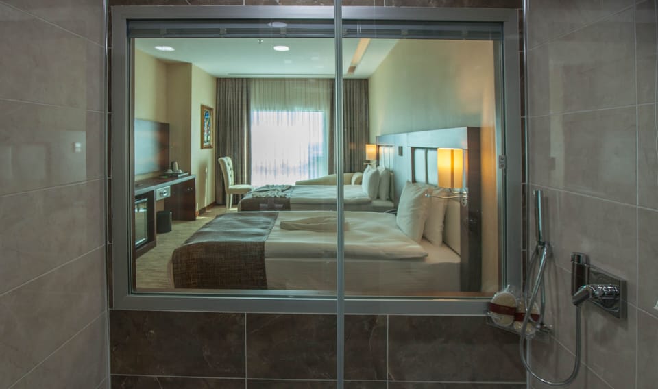 Shower, free toiletries, hair dryer, slippers
