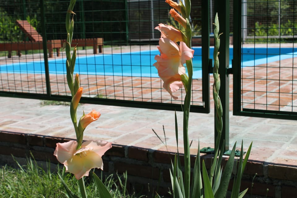 Indoor pool, seasonal outdoor pool