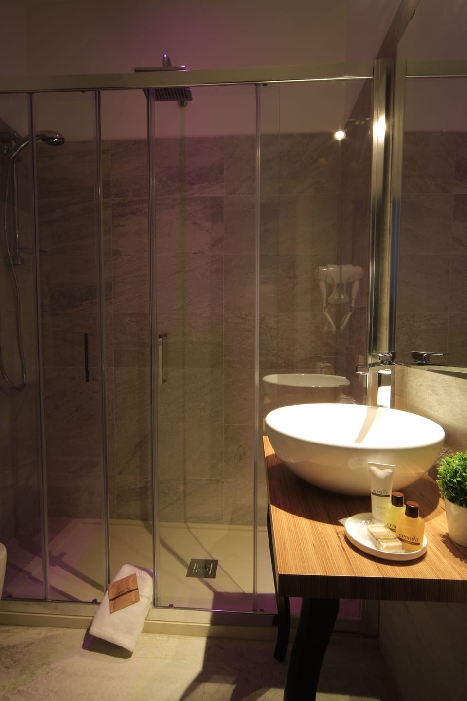 Shower, free toiletries, hair dryer, bidet