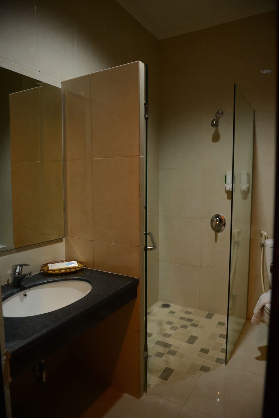 Shower, designer toiletries, hair dryer, slippers